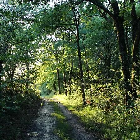 La Maison De Demeter, 10 Min D'eugenie, Calme Des Landes Interieures *