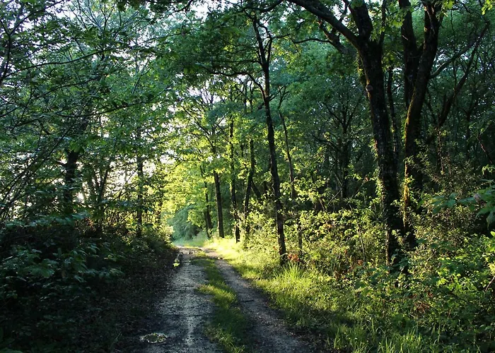La Maison De Demeter, 10 Min D'eugenie, Calme Des Landes Interieures *