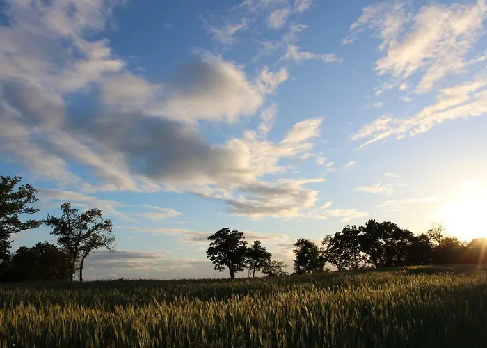 La Maison De Demeter, 10 Min D'eugenie, Calme Des Landes Interieures * Geaune