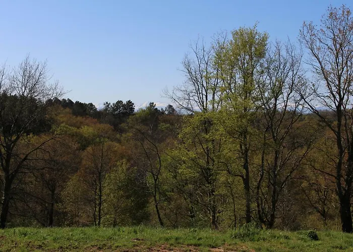 Nyaraló La Maison De Demeter, 10 Min D'eugenie, Calme Des Landes Interieures *